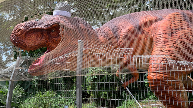 tiranosaurus-rex